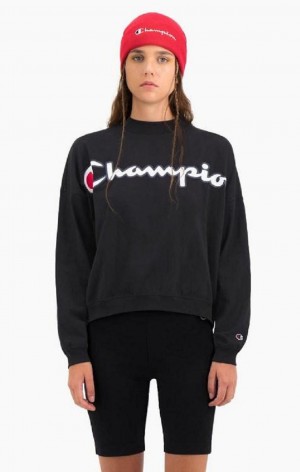 Champion Cropped Script Logo T-Shirt T Shirts Dame Sort | 1837-WNYJR