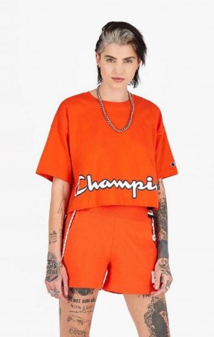 Champion Cropped Script Logo T-Shirt T Shirts Dame Orange | 3160-NJLFR