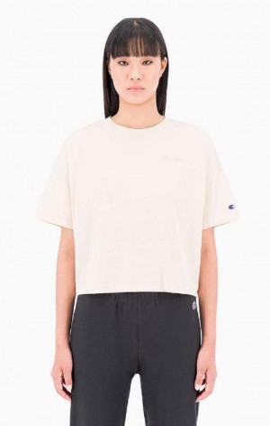 Champion Ombré Wash Cropped T-Shirt T Shirts Dame Gul | 3724-OSLNX