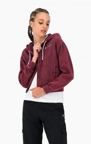 Champion Satin Stitch Script Logo Hoodie Hættetrøje Dame Mørkelilla | 7912-YSPZX