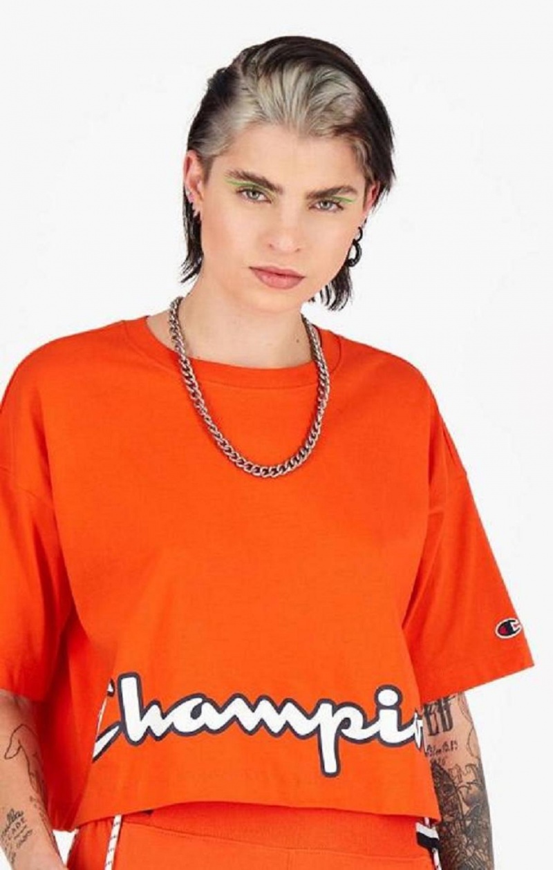 Champion Cropped Script Logo T-Shirt T Shirts Dame Orange | 3160-NJLFR