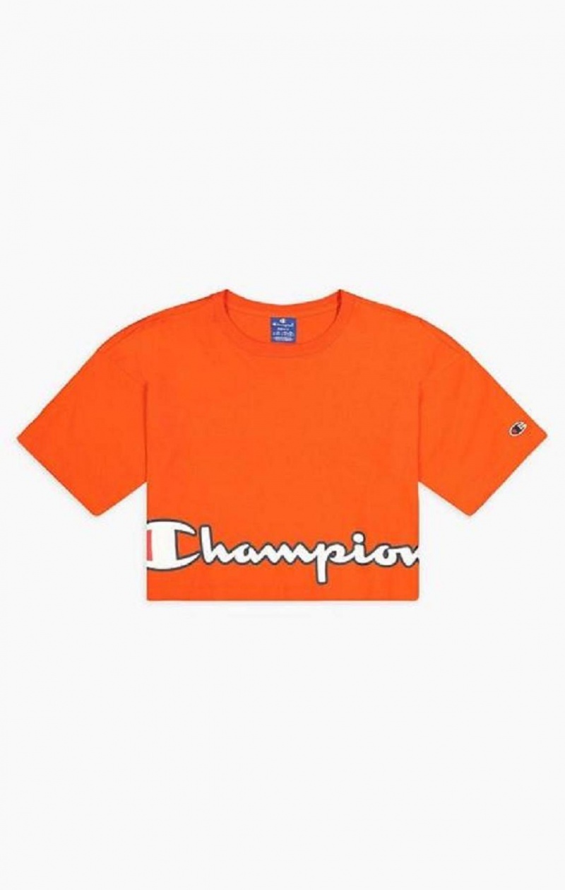 Champion Cropped Script Logo T-Shirt T Shirts Dame Orange | 3160-NJLFR