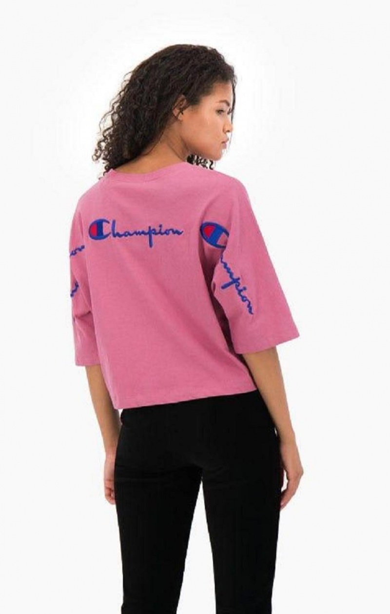 Champion Cropped Script Logo T-Shirt T Shirts Dame Rød | 4172-KICER