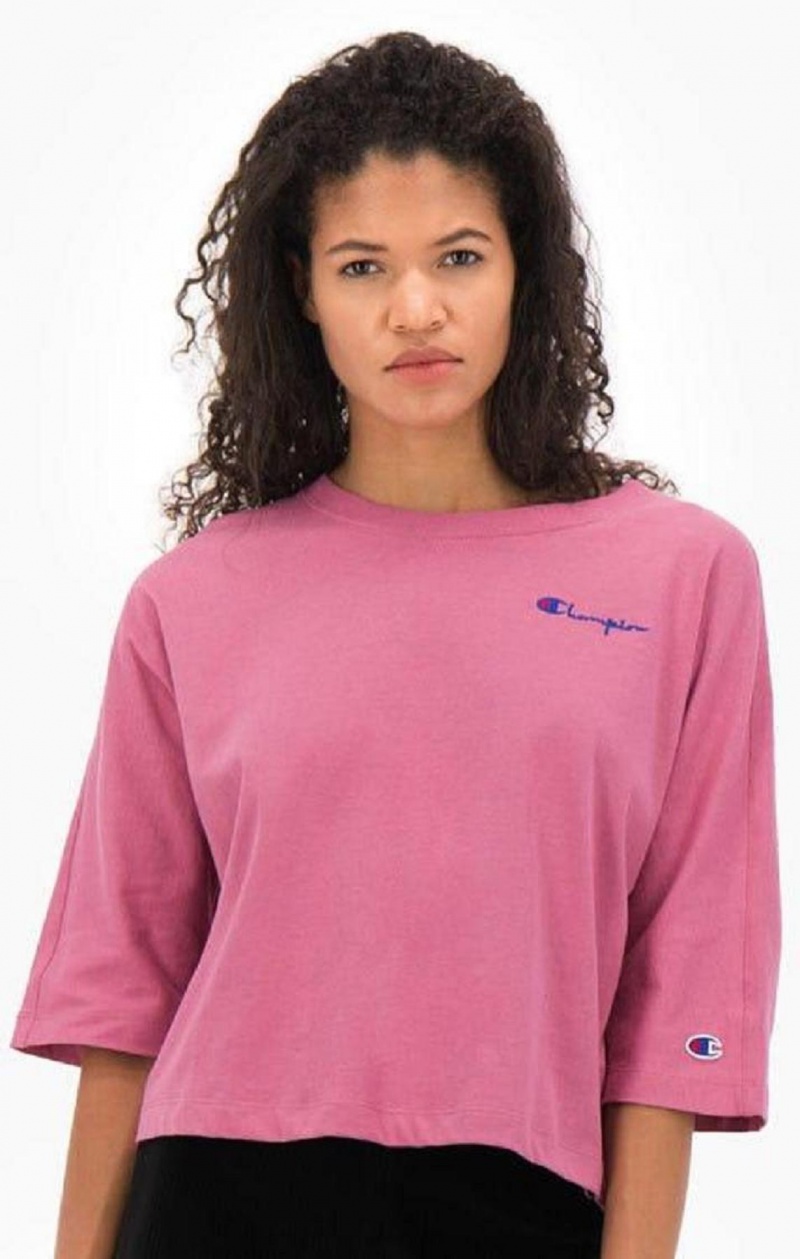 Champion Cropped Script Logo T-Shirt T Shirts Dame Rød | 4172-KICER