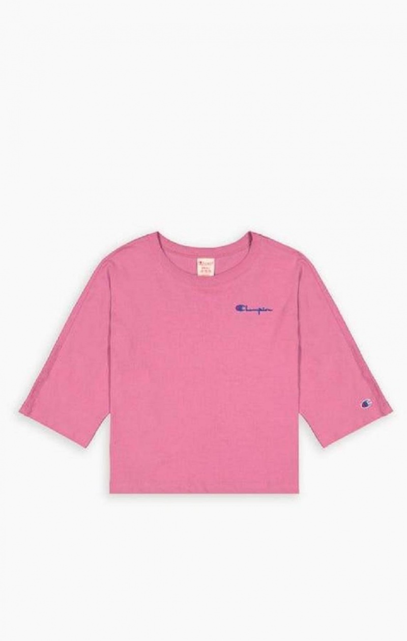 Champion Cropped Script Logo T-Shirt T Shirts Dame Rød | 4172-KICER