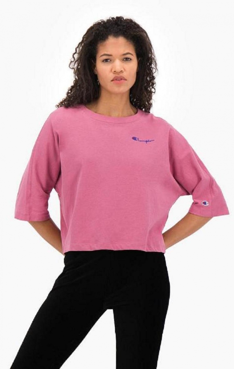 Champion Cropped Script Logo T-Shirt T Shirts Dame Rød | 4172-KICER