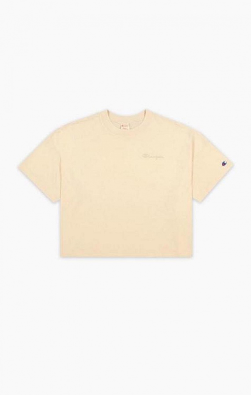 Champion Ombré Wash Cropped T-Shirt T Shirts Dame Gul | 3724-OSLNX