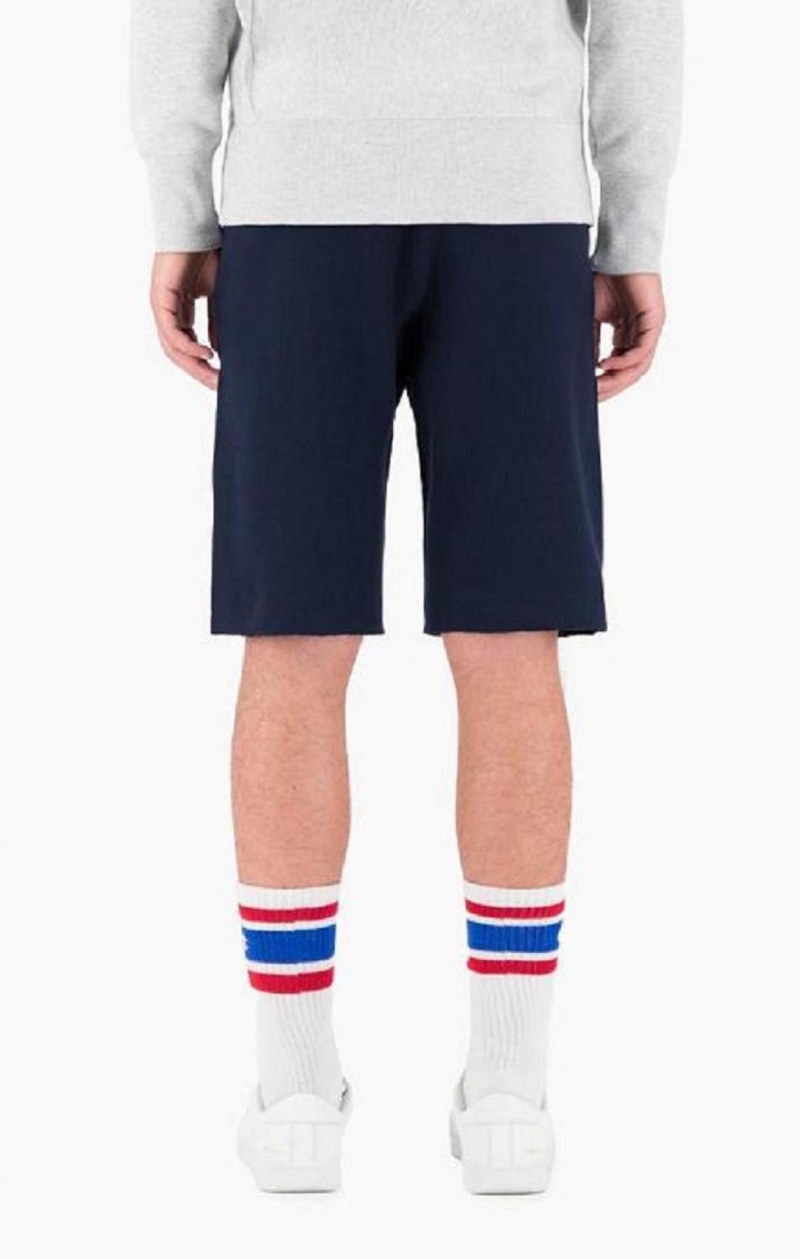 Champion Reverse Weave Long Shorts Shorts Herre Lysegrå | 2536-WTHPJ