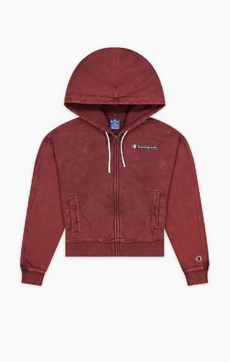 Champion Satin Stitch Script Logo Hoodie Hættetrøje Dame Mørkelilla | 7912-YSPZX