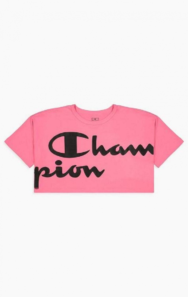 Champion Script Logo Cropped T-Shirt T Shirts Dame Fuchsia | 8432-YRTGU