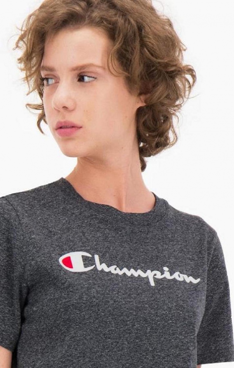 Champion Velvet Script Logo T-Shirt T Shirts Dame Lysegrå | 6539-YDPOZ