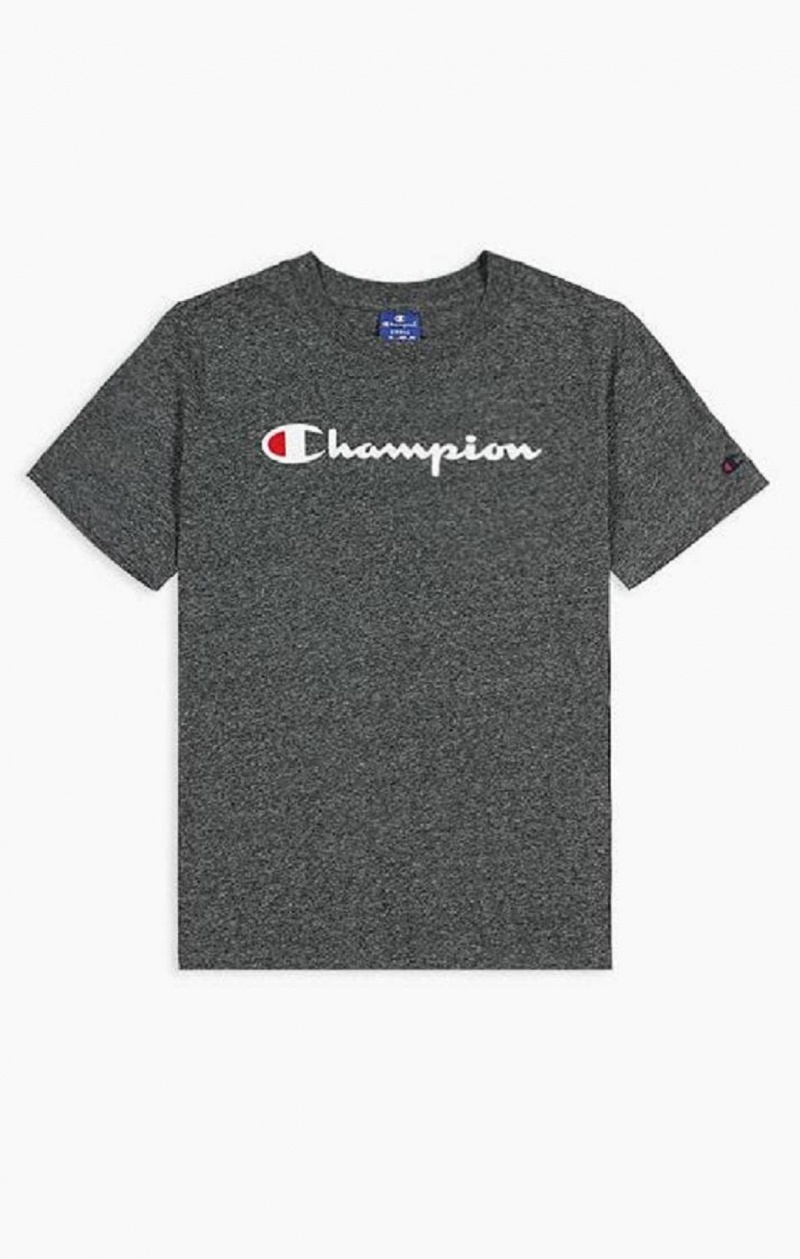 Champion Velvet Script Logo T-Shirt T Shirts Dame Lysegrå | 6539-YDPOZ